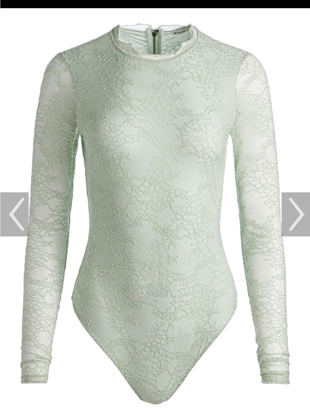 Alice & Olivia Taryn Lace Long-Sleeve Bodysuit in Pale Mint